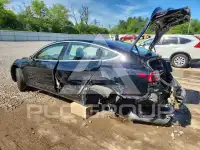 2019 Tesla Model 3 photo