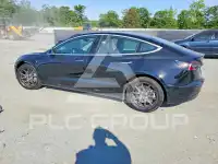 2019 Tesla Model 3 photo