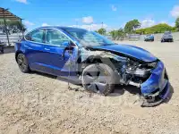 2019 Tesla Model 3 photo
