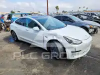 2019 Tesla Model 3 photo