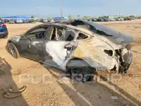 2019 Tesla Model 3 photo