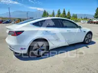 2019 Tesla Model 3 photo