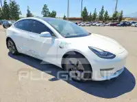 2019 Tesla Model 3 photo