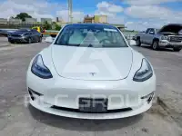 2019 Tesla Model 3 photo