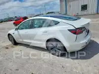 2019 Tesla Model 3 photo