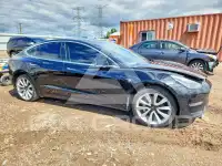 2019 Tesla Model 3 photo