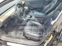 2019 Tesla Model 3 фото