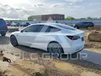 2019 Tesla Model 3 photo