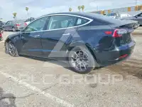 2019 Tesla Model 3 photo