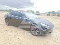 2019 Tesla Model 3 photo