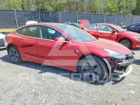2019 Tesla Model 3 photo