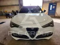 2019 Alfa Romeo Stelvio фото