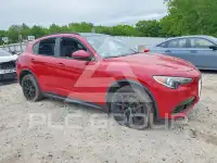2019 Alfa Romeo Stelvio photo