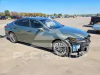 2019 Lexus ES300 photo