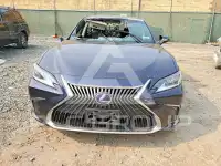 2019 Lexus ES300 photo