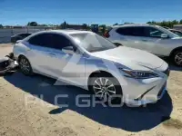 2019 Lexus ES300 фото