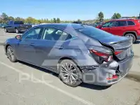 2019 Lexus ES300 photo