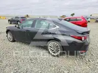 2019 Lexus ES300 фото