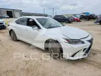 2019 Lexus ES300 photo