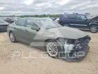 2019 Lexus ES300 photo