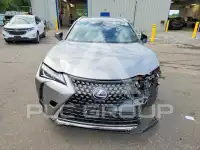 2019 Lexus Other photo