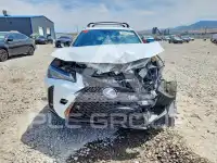 2019 Lexus Other фото