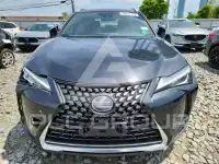 2019 Lexus Other photo