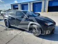 2019 Lexus UX200 photo