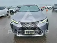 2019 Lexus Other photo