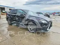 2019 Lexus RX photo