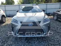 2019 Lexus RX фото