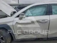 2019 Lexus UX250 photo