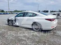 2019 Lexus ES350 photo