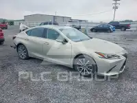 2019 Lexus ES350 фото