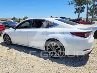 2019 Lexus ES350 фото