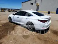2019 Lexus ES350 фото