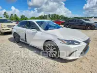 2019 Lexus ES350 фото