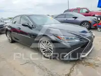 2019 Lexus ES350 photo