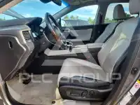 2019 Lexus RX фото