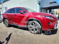 2019 Lexus RX350 photo