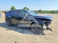2019 Lexus RX350 photo