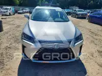 2019 Lexus RX350 photo