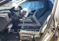 2019 Lexus RX350 photo
