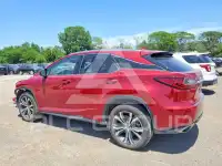 2019 Lexus RX350 photo