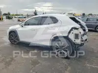 2019 Lexus  photo