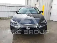 2019 Lexus NX фото