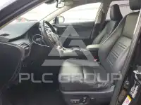 2019 Lexus NX фото