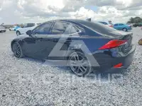 2019 Lexus IS фото
