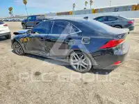 2019 Lexus IS фото