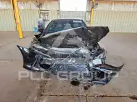 2019 Lexus IS photo